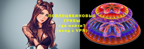 не бодяженный Елабуга