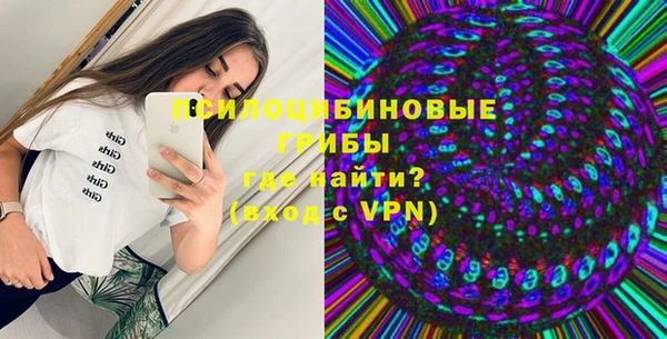 гидра Елизово