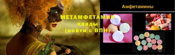 гидра Елизово