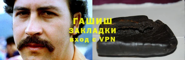 гидра Елизово