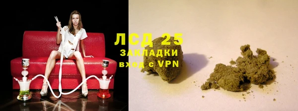 гидра Елизово