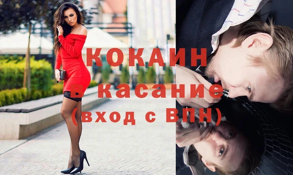 гидра Елизово