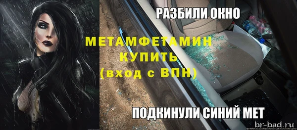 гидра Елизово