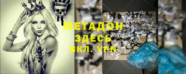 гидра Елизово