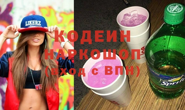 гидра Елизово