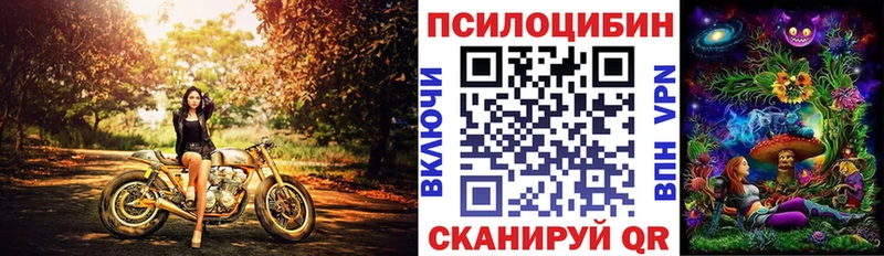 Псилоцибиновые грибы Cubensis  Полесск 